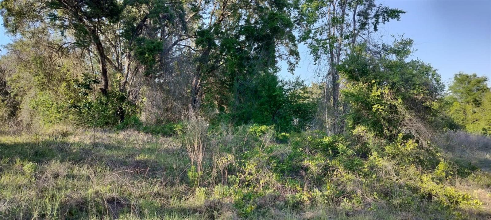 2808 VAN BUREN ST W, INVERNESS, FL — photo 16