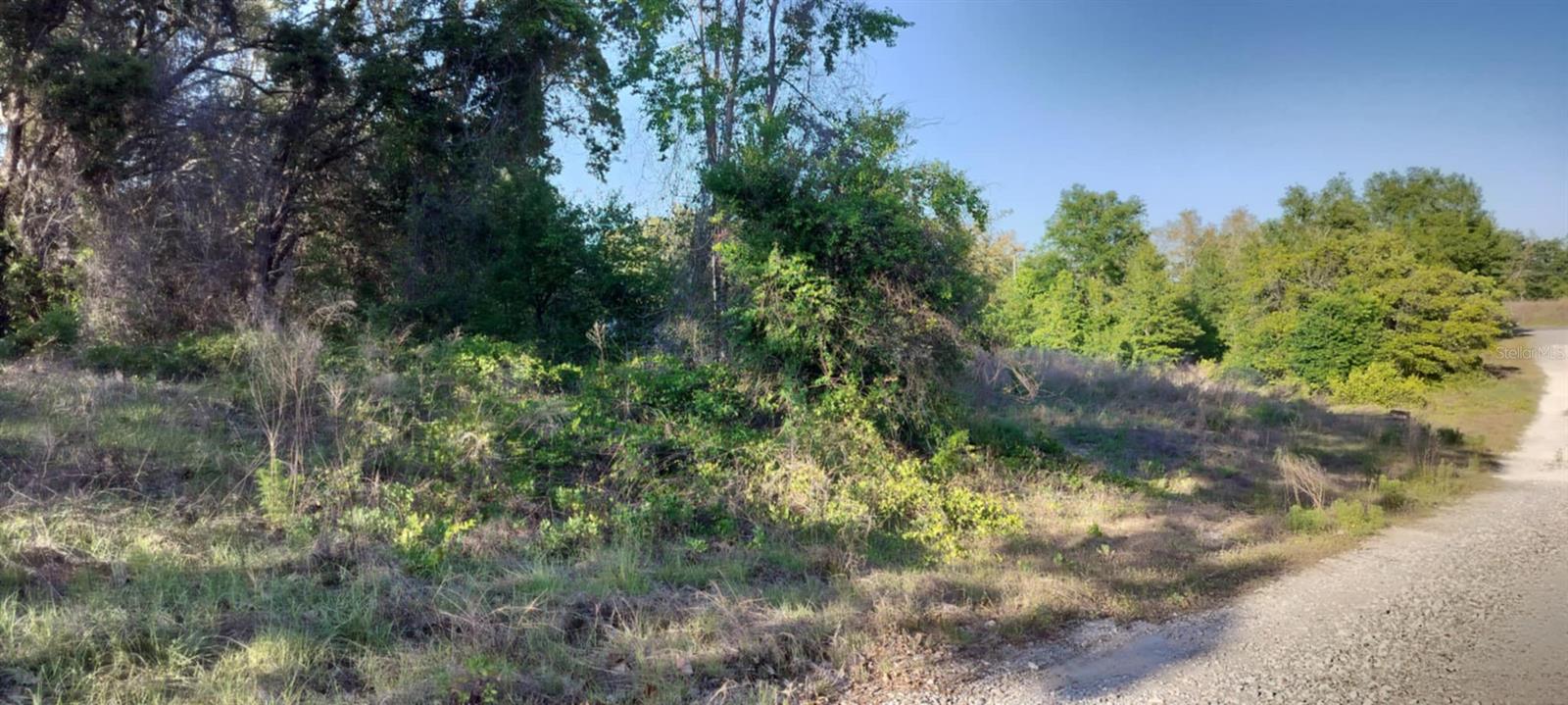 2808 VAN BUREN ST W, INVERNESS, FL — photo 17