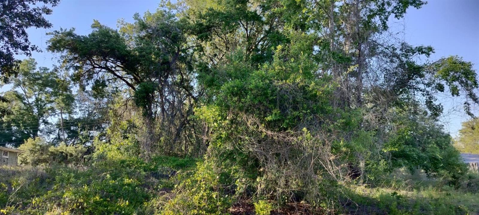 2808 VAN BUREN ST W, INVERNESS, FL — photo 18