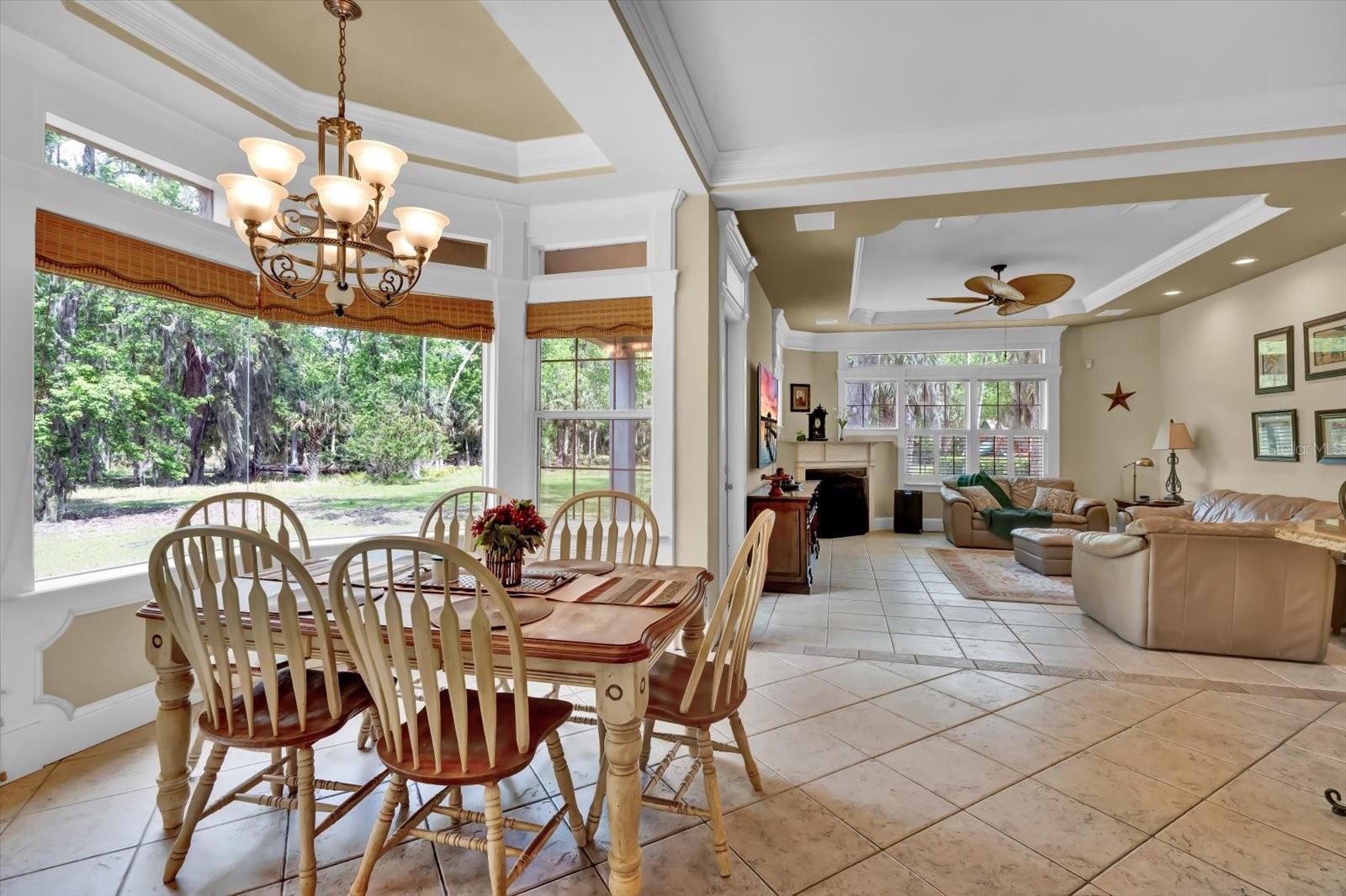 48 AUDUBON LN, FLAGLER BEACH, FL — photo 24