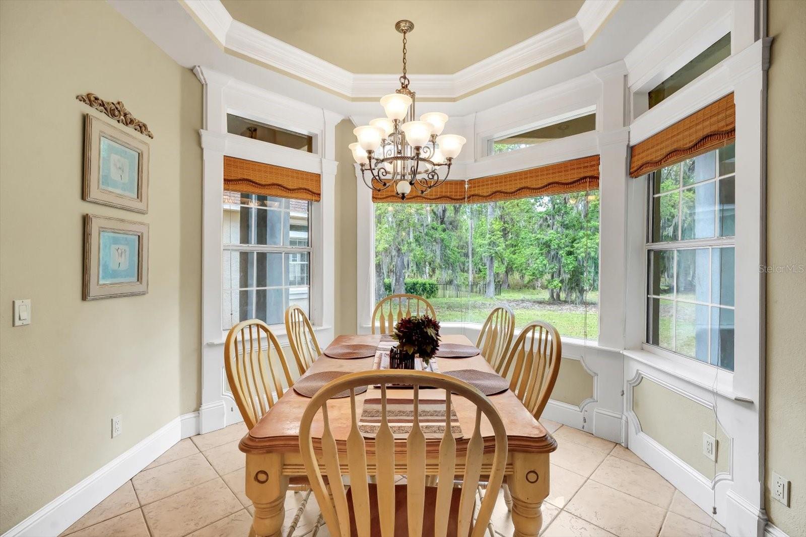 48 AUDUBON LN, FLAGLER BEACH, FL — photo 23