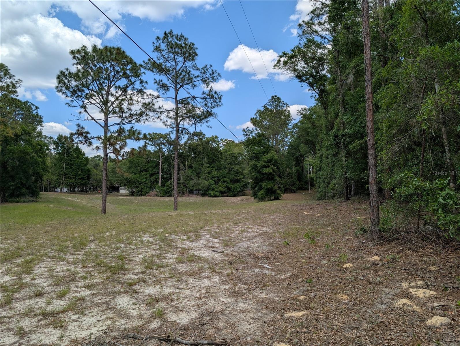 TBD SW 93RD LANE, DUNNELLON, FL — photo 4
