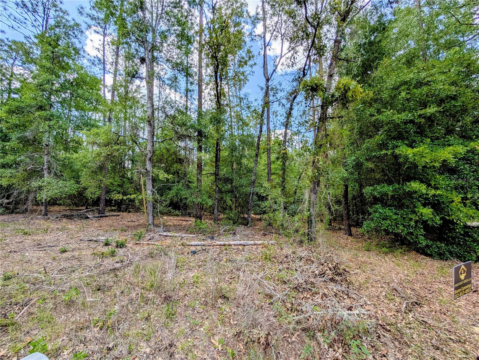 TBD SW 93RD LANE, DUNNELLON, FL — photo 5