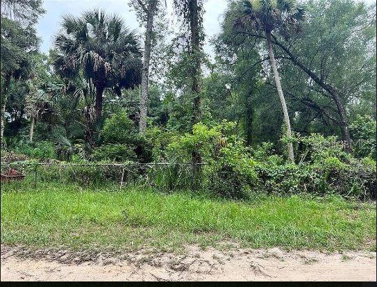 25040 E AVENUE B, PAISLEY, FL — photo 3
