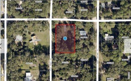 25040 E AVENUE B, PAISLEY, FL — photo 15