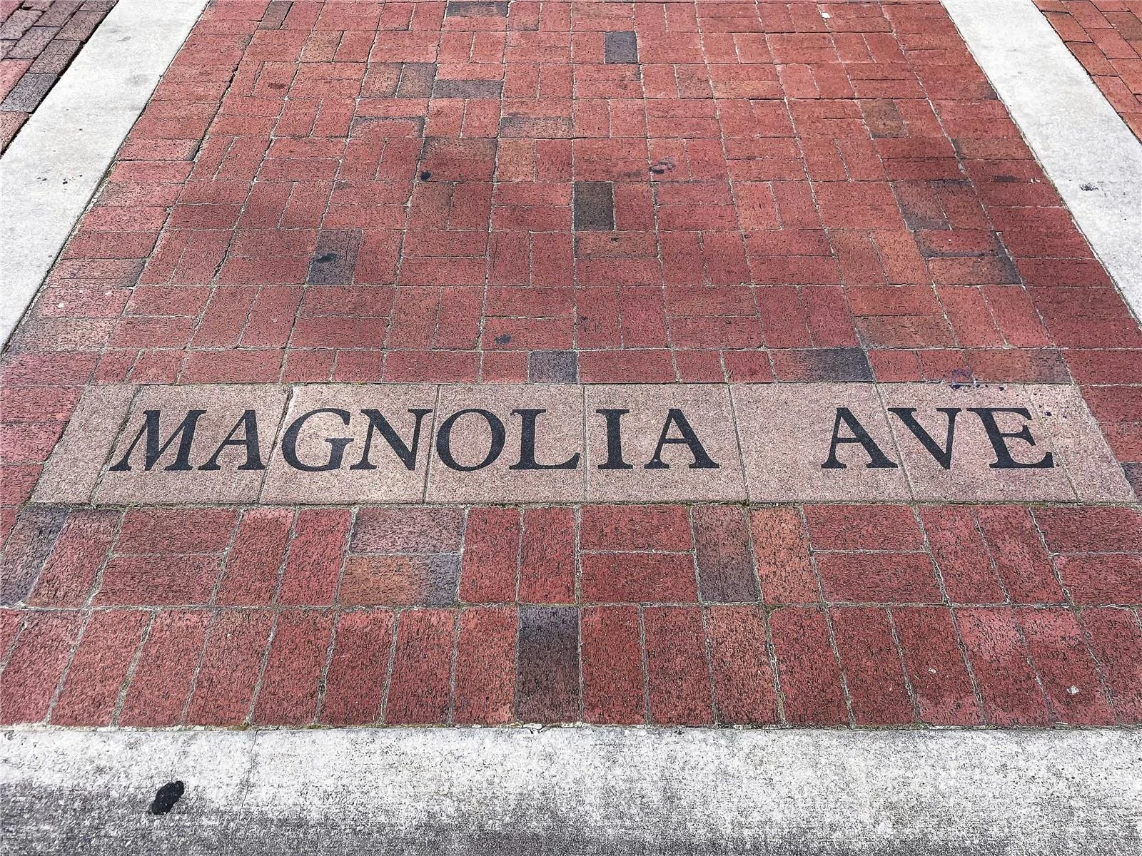 24 E MAGNOLIA AVE #5, EUSTIS, FL — photo 49