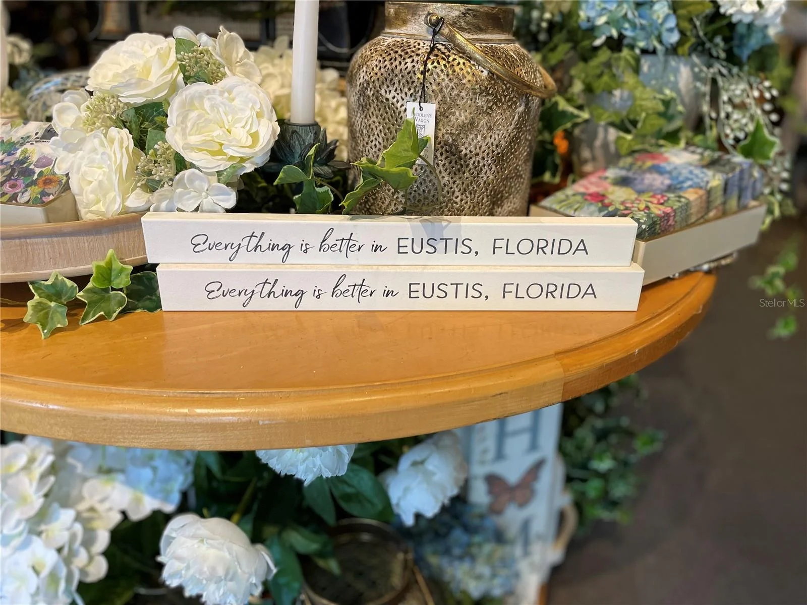 24 E MAGNOLIA AVE #5, EUSTIS, FL — photo 52