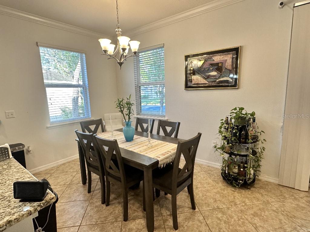 11248 MOLLYMAWK CT, NEW PORT RICHEY, FL — photo 10