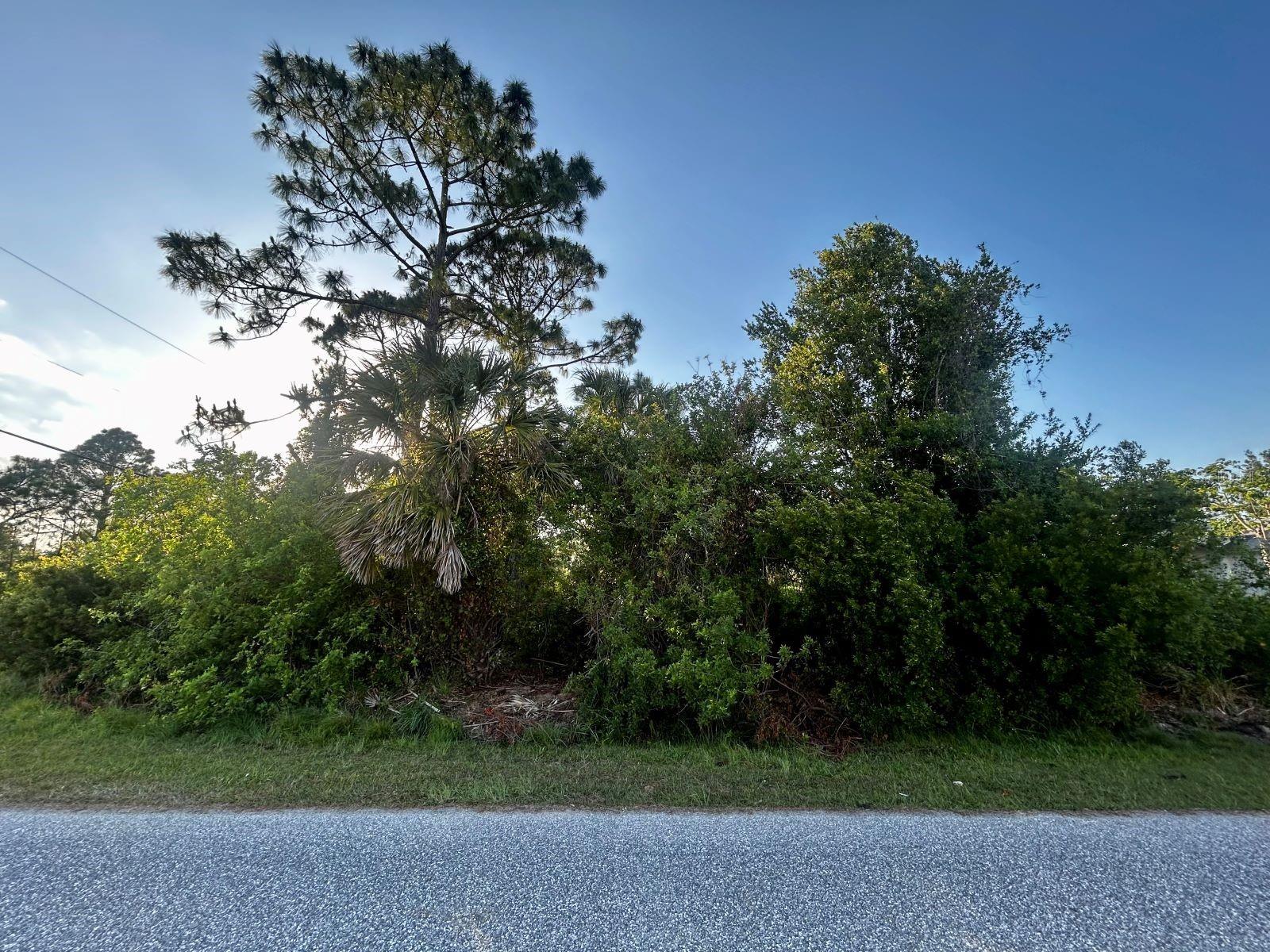 LOT 21 ARMOUR TER, NORTH PORT, FL — photo 5