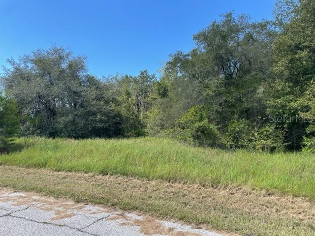 KISSIMMEE WAY, KISSIMMEE, FL