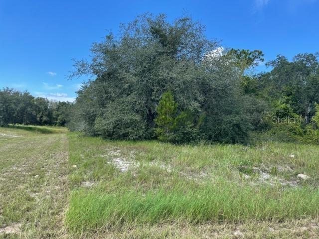 KISSIMMEE WAY, KISSIMMEE, FL — photo 2