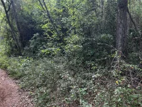 TBD NW 123RD PL — photo 3