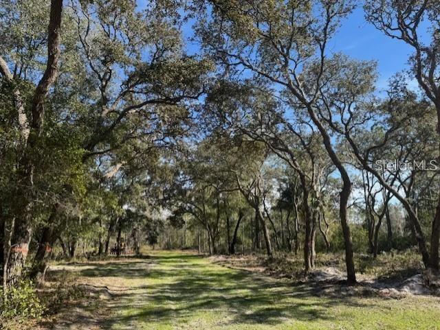 NE 150TH AVE RD #LOT 1, FORT MC COY, FL — photo 4
