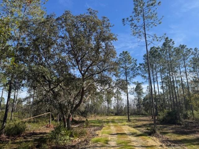 NE 150TH AVE RD #LOT 1, FORT MC COY, FL — photo 3