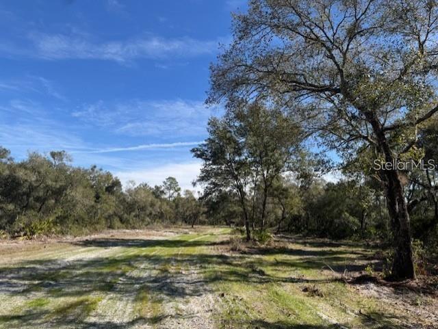 NE 150TH AVE RD #LOT 1, FORT MC COY, FL — photo 7