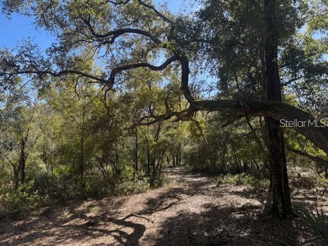 NE 150TH AVE RD #LOT 1, FORT MC COY, FL — photo 9