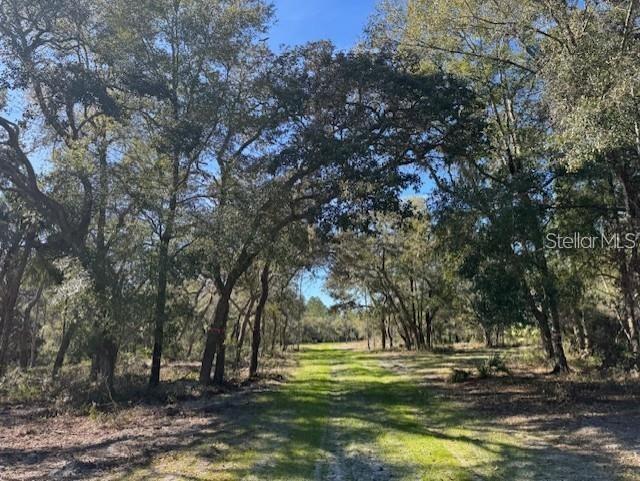 NE 150TH AVE RD #LOT 1, FORT MC COY, FL — photo 10