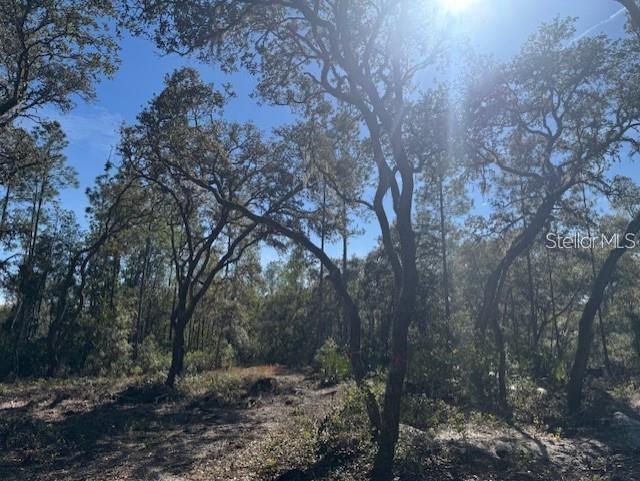 NE 150TH AVE RD #LOT 1, FORT MC COY, FL — photo 12
