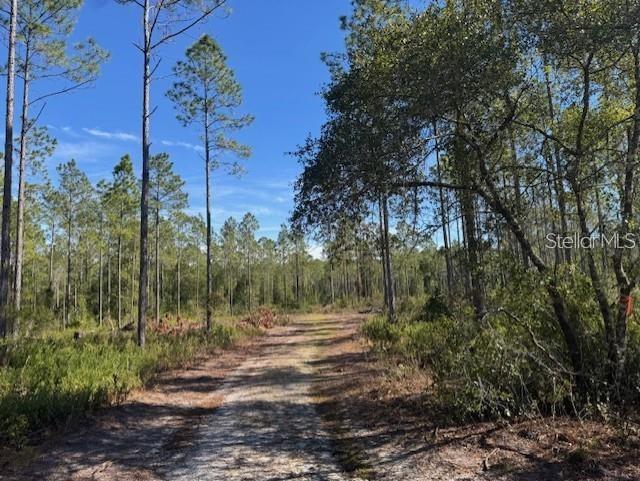 NE 150TH AVE RD #LOT 1, FORT MC COY, FL — photo 14