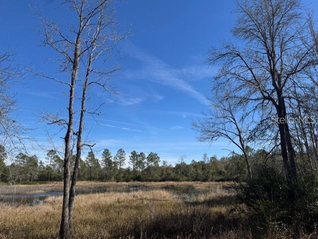 NE 150TH AVE RD #LOT 1, FORT MC COY, FL — photo 17