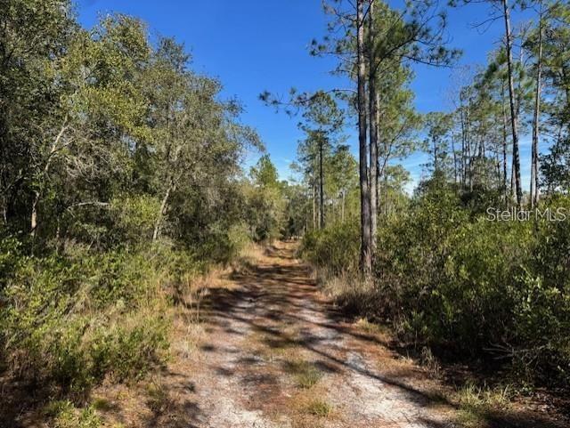 NE 150TH AVE RD #LOT 1, FORT MC COY, FL — photo 18
