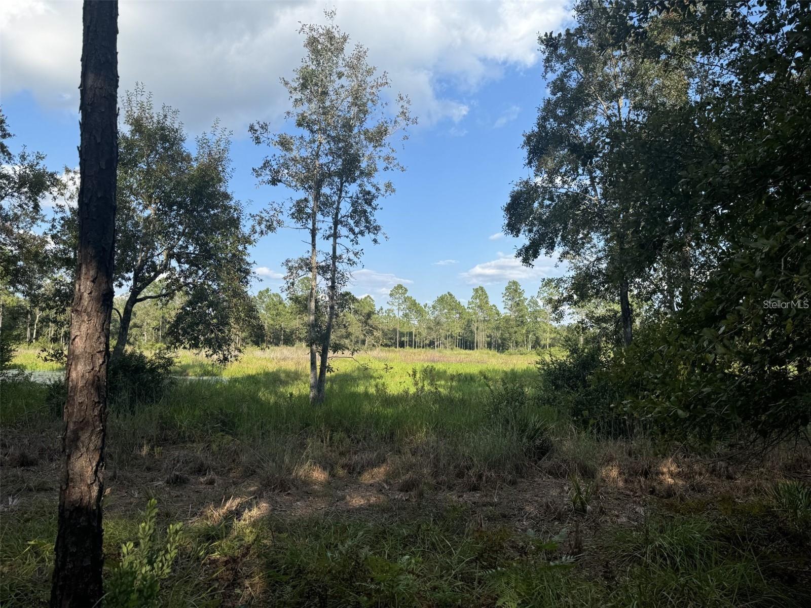 NE 150TH AVE RD #LOT 1, FORT MC COY, FL — photo 20