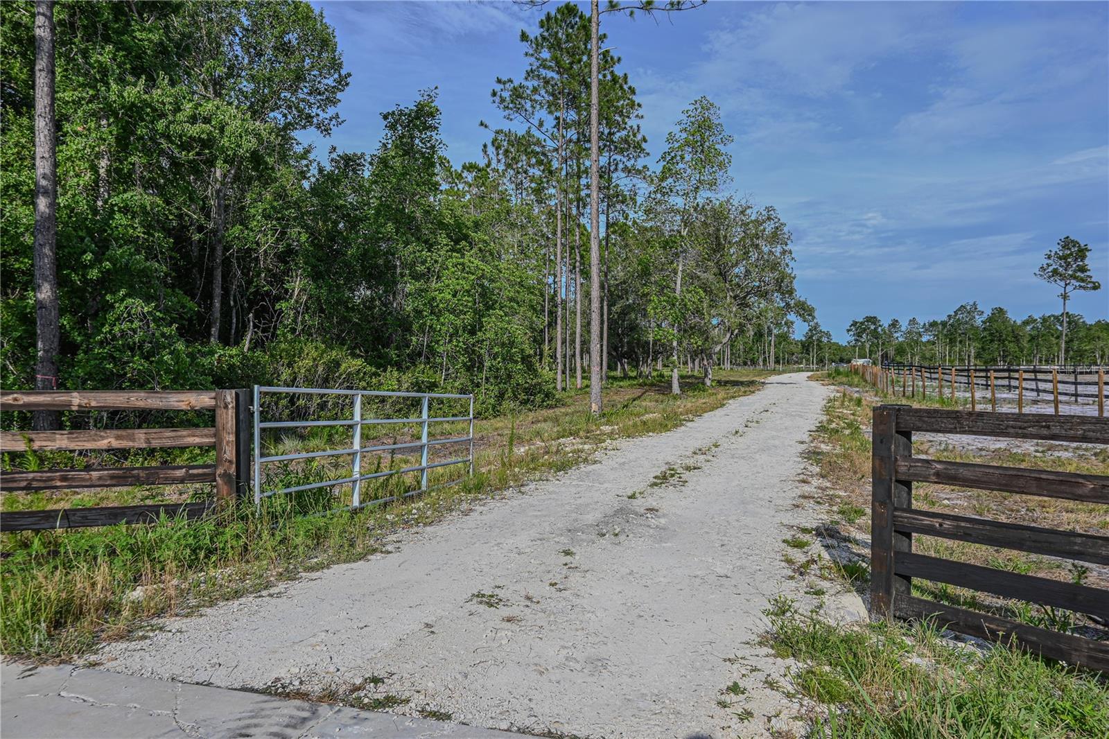 NE 150TH AVE RD #LOT 1, FORT MC COY, FL — photo 27