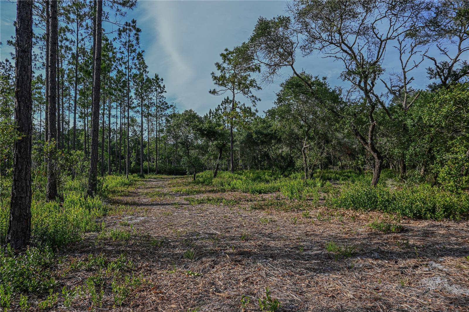 NE 150TH AVE RD #LOT 1, FORT MC COY, FL — photo 31