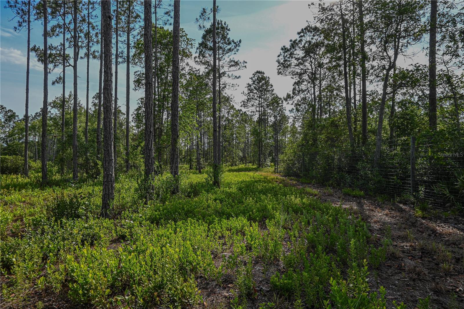 NE 150TH AVE RD #LOT 1, FORT MC COY, FL — photo 32