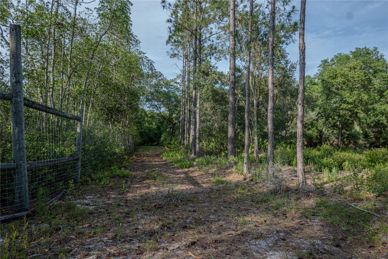NE 150TH AVE RD #LOT 1, FORT MC COY, FL — photo 34