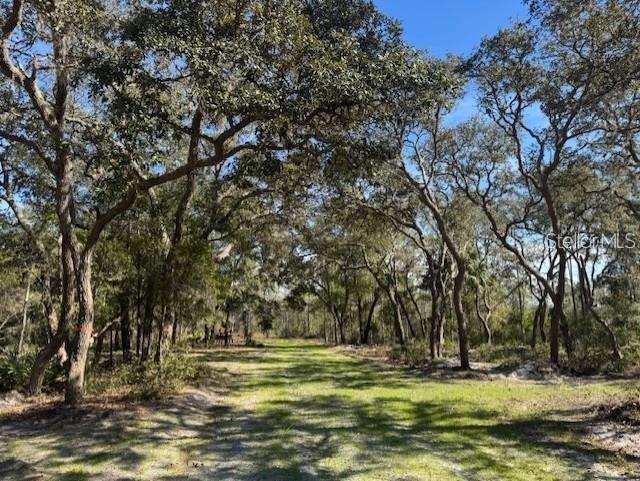 NE 150TH AVE RD #LOT 3, FORT MC COY, FL — photo 4
