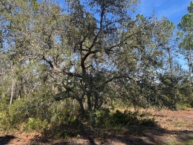 NE 150TH AVE RD #LOT 3, FORT MC COY, FL — photo 5