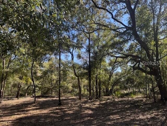 NE 150TH AVE RD #LOT 3, FORT MC COY, FL — photo 7