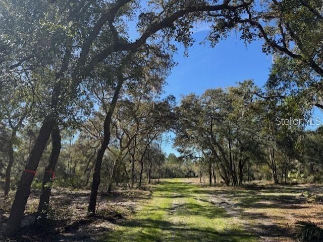 NE 150TH AVE RD #LOT 3, FORT MC COY, FL — photo 10