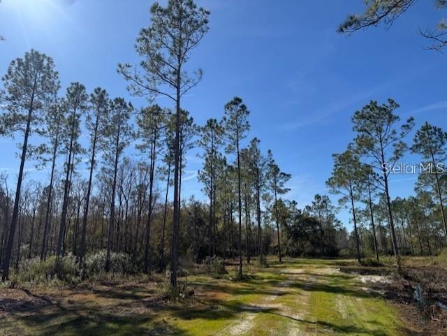 NE 150TH AVE RD #LOT 3, FORT MC COY, FL — photo 12