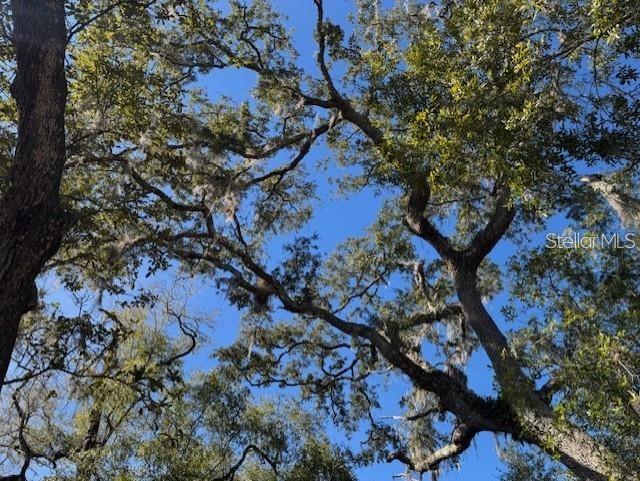 NE 150TH AVE RD #LOT 3, FORT MC COY, FL — photo 14