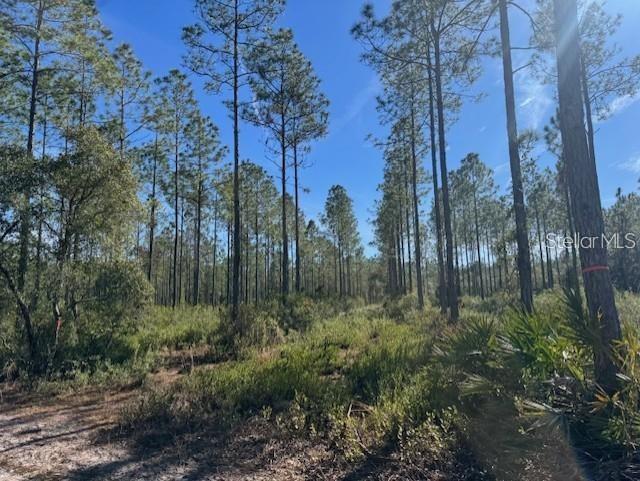 NE 150TH AVE RD #LOT 3, FORT MC COY, FL — photo 15