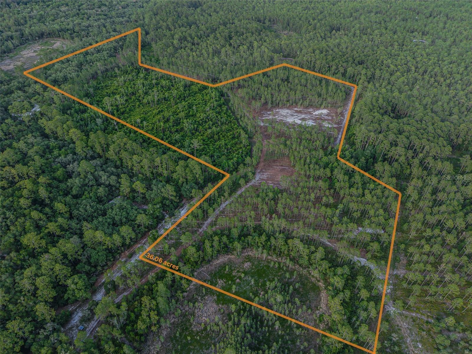 NE 150TH AVE RD #LOT 3, FORT MC COY, FL — photo 22