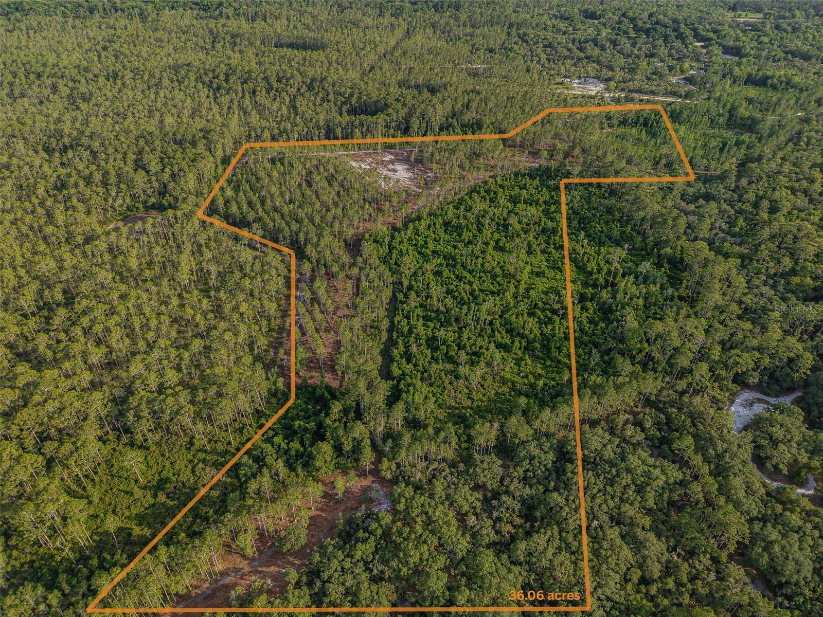 NE 150TH AVE RD #LOT 3, FORT MC COY, FL — photo 23