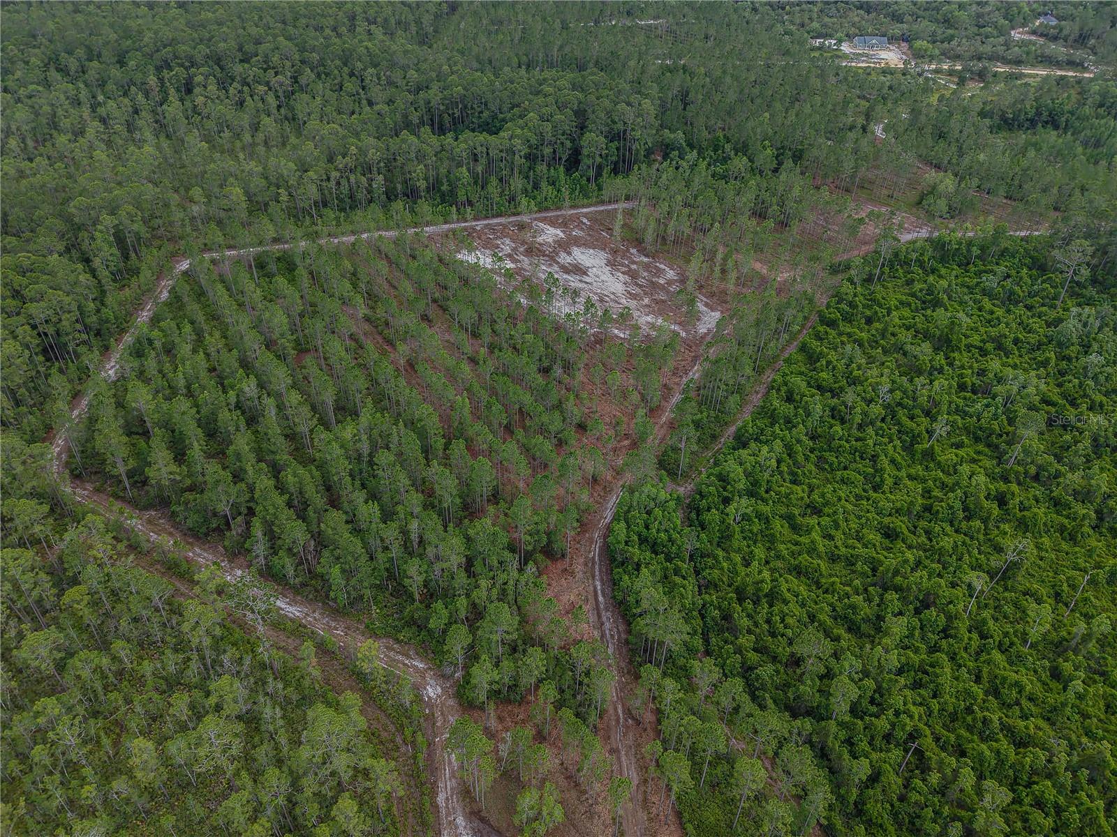 NE 150TH AVE RD #LOT 3, FORT MC COY, FL — photo 24