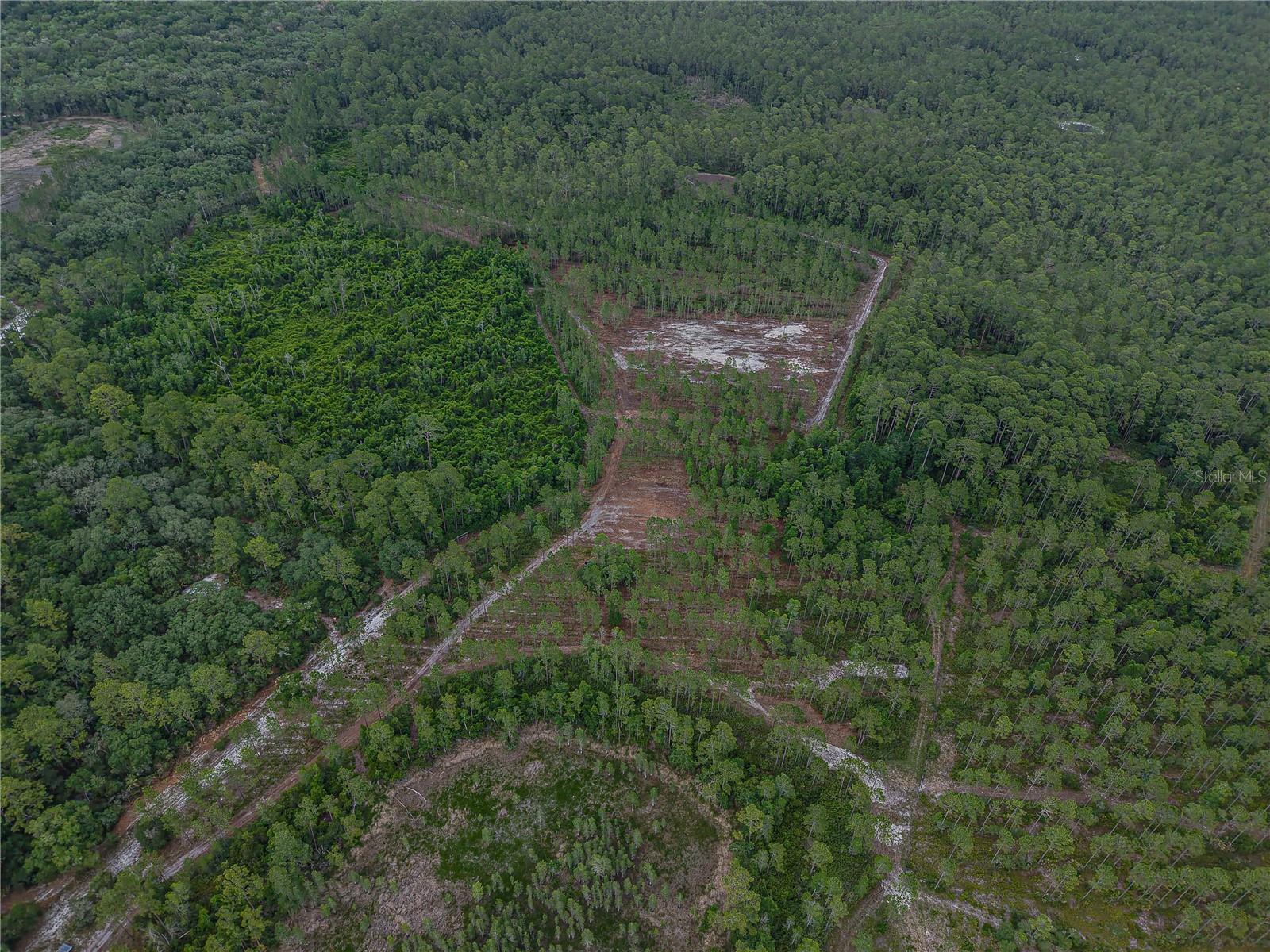 NE 150TH AVE RD #LOT 3, FORT MC COY, FL — photo 25