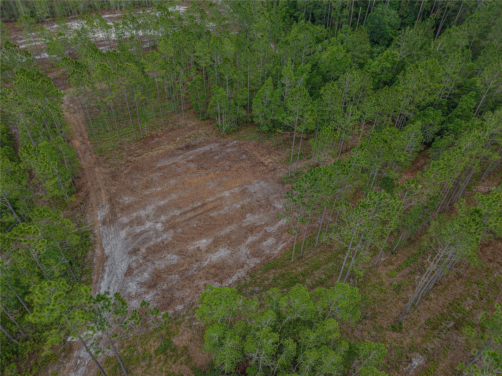 NE 150TH AVE RD #LOT 3, FORT MC COY, FL — photo 26