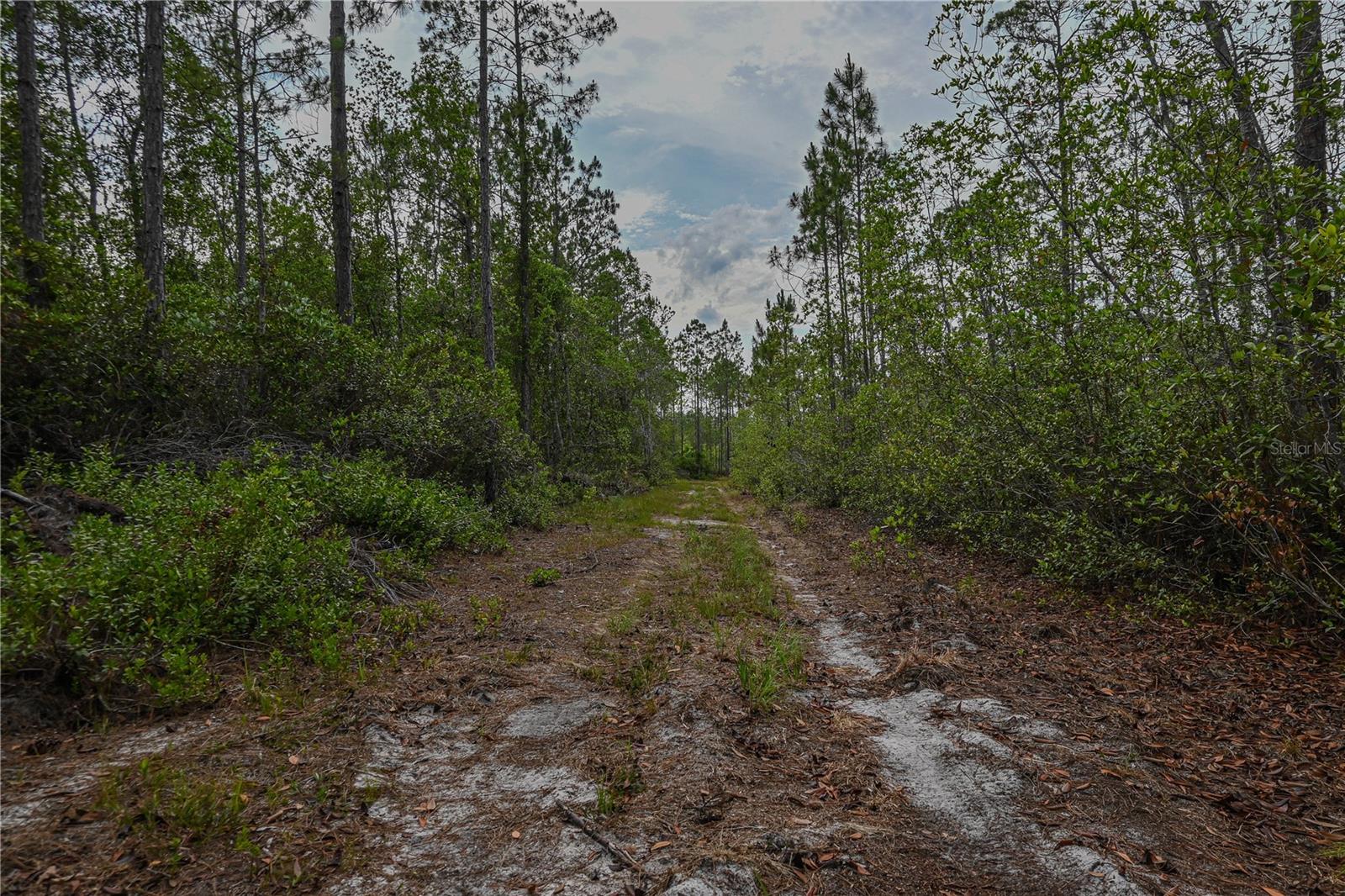 NE 150TH AVE RD #LOT 3, FORT MC COY, FL — photo 33