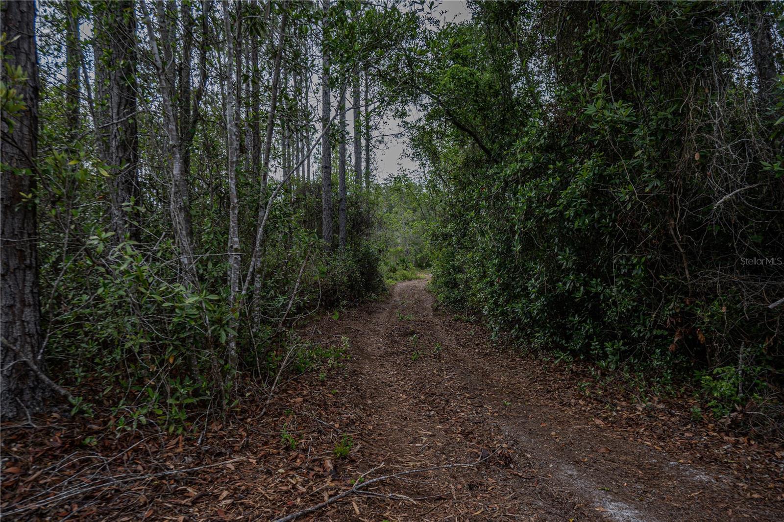 NE 150TH AVE RD #LOT 3, FORT MC COY, FL — photo 36