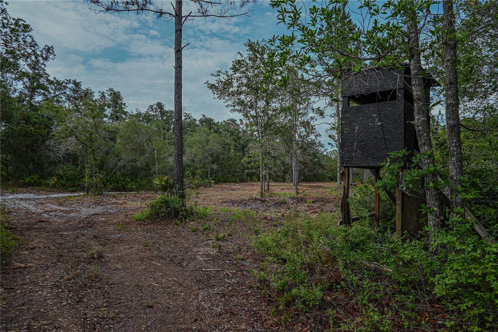 NE 150TH AVE RD #LOT 3, FORT MC COY, FL — photo 38