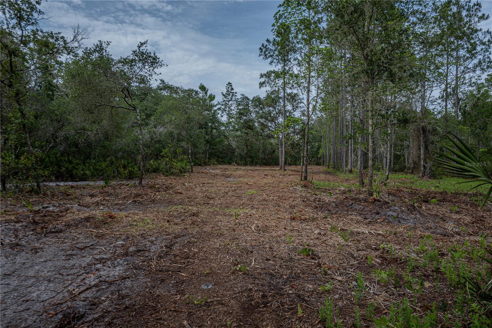 NE 150TH AVE RD #LOT 3, FORT MC COY, FL — photo 39