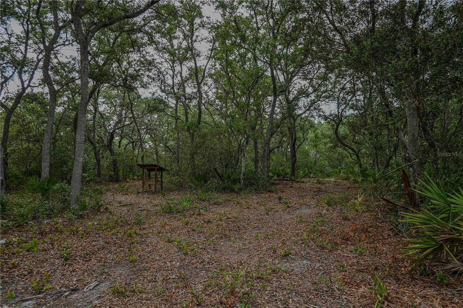 NE 150TH AVE RD #LOT 3, FORT MC COY, FL — photo 40