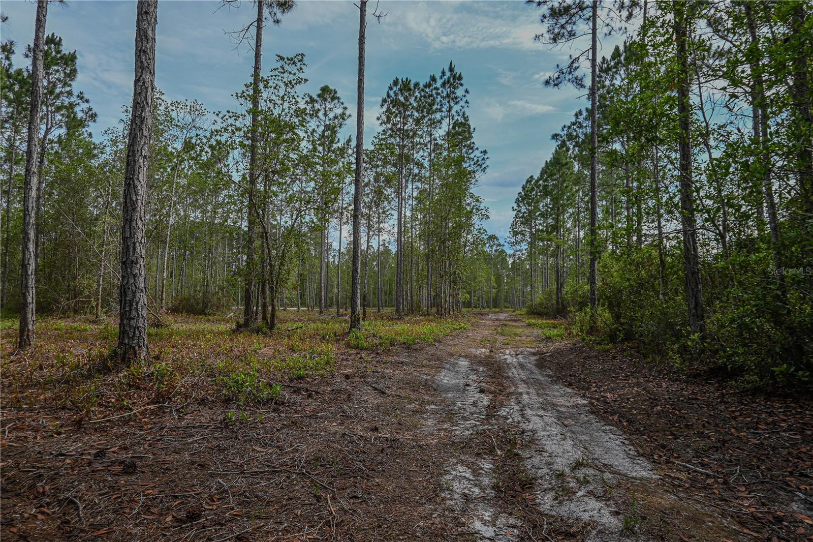 NE 150TH AVE RD #LOT 3, FORT MC COY, FL — photo 42