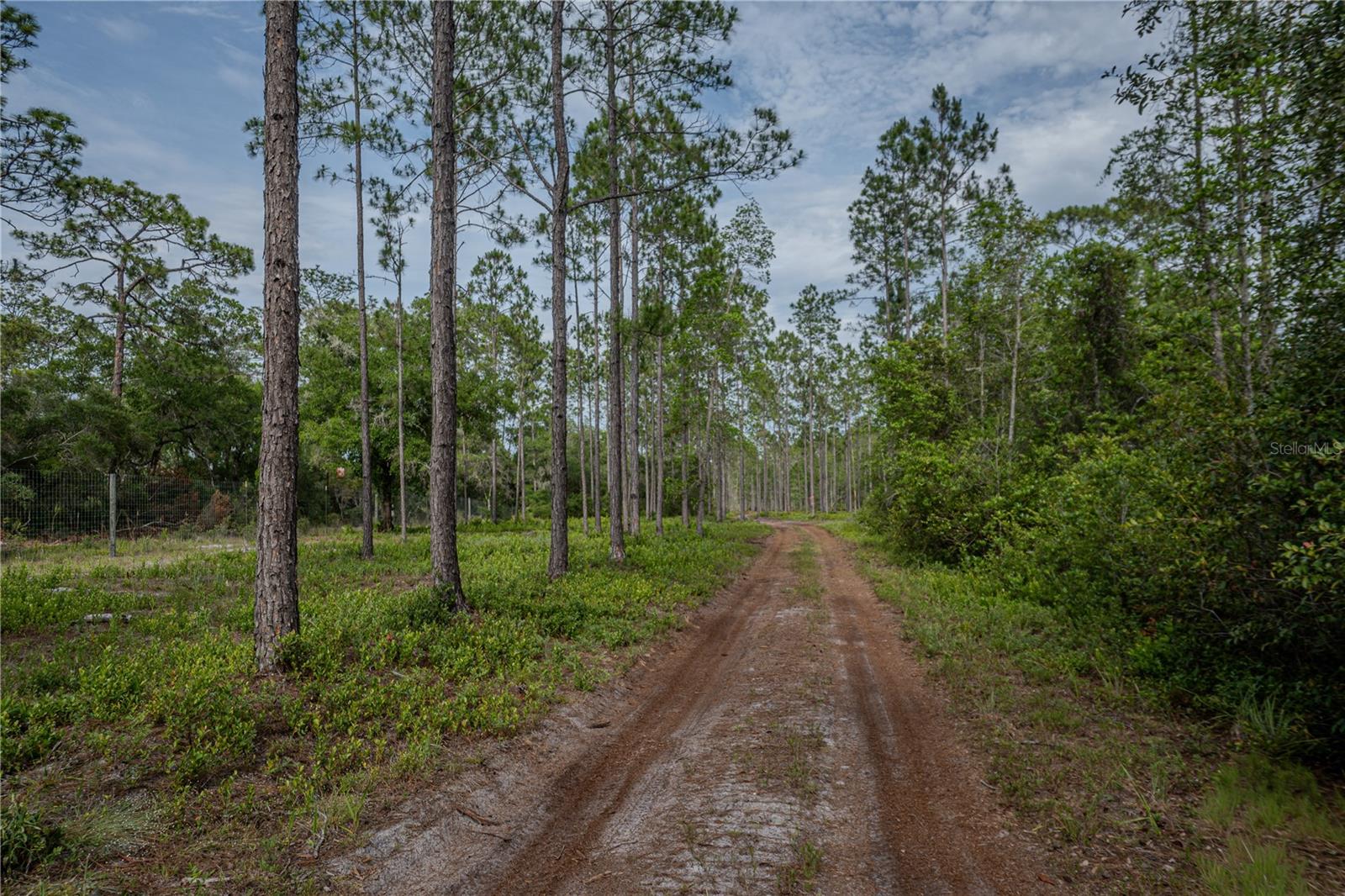 NE 150TH AVE RD #LOT 3, FORT MC COY, FL — photo 45