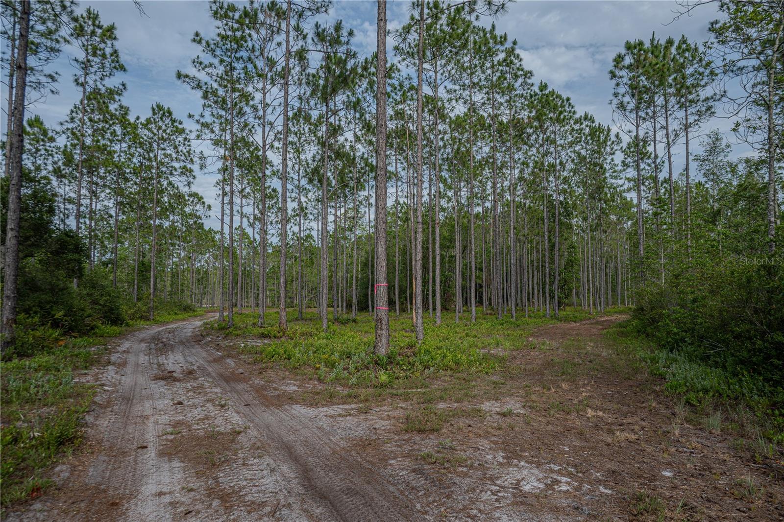 NE 150TH AVE RD #LOT 3, FORT MC COY, FL — photo 46